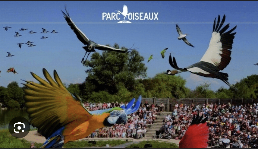 parc des oiseaux