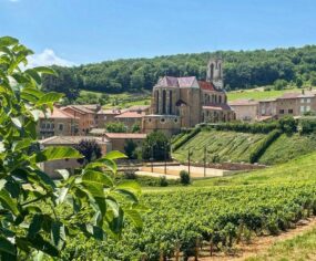 Découvbrir le Beaujolais (1)