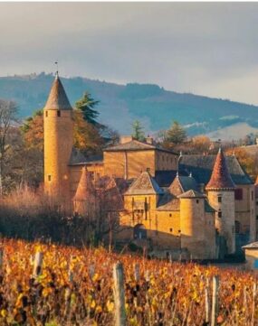 Discovering Beaujolais (2)
