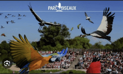 {{brizy_dc_image_alt imageSrc=