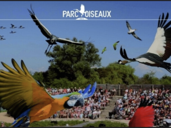 parc des oiseaux